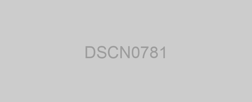 DSCN0781