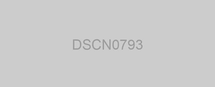 DSCN0793