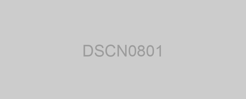 DSCN0801