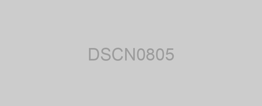 DSCN0805