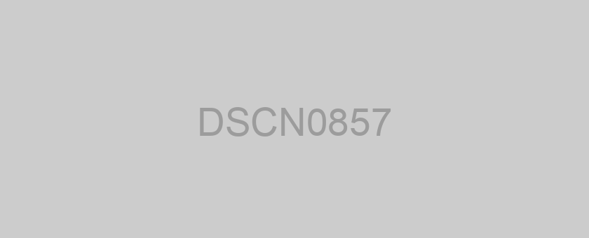 DSCN0857