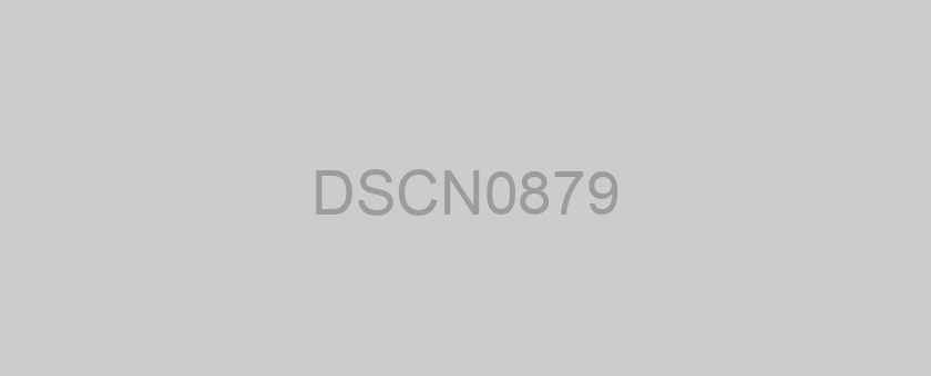 DSCN0879