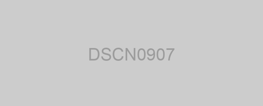 DSCN0907