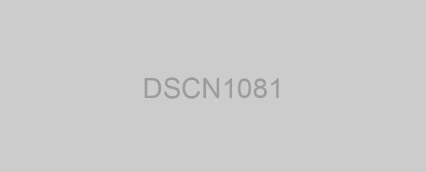 DSCN1081