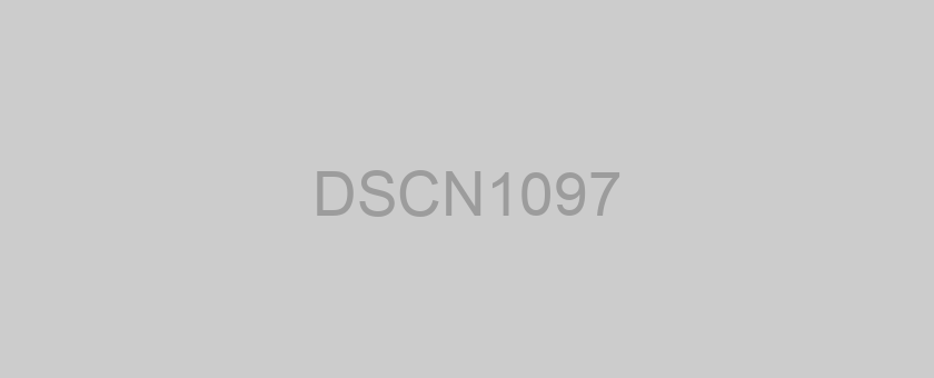 DSCN1097