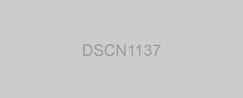 DSCN1137