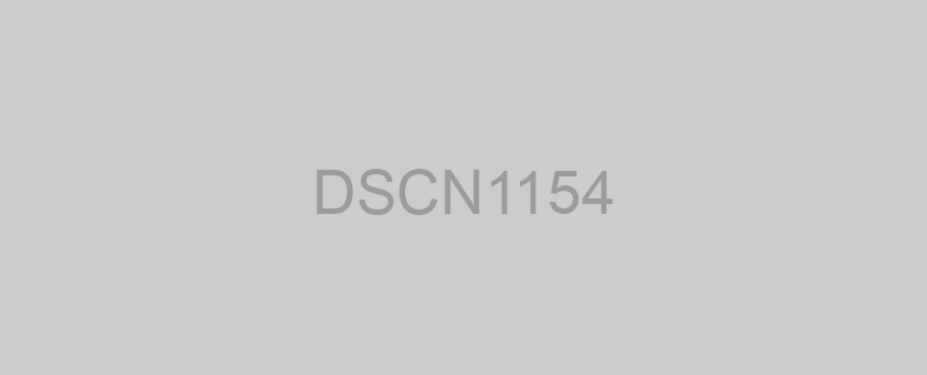 DSCN1154