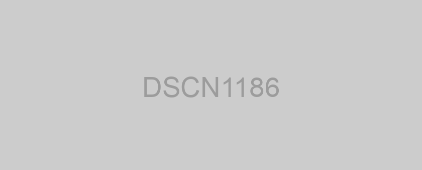 DSCN1186