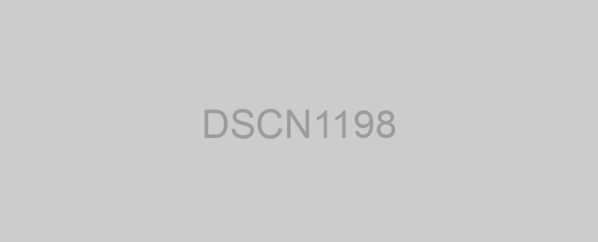DSCN1198