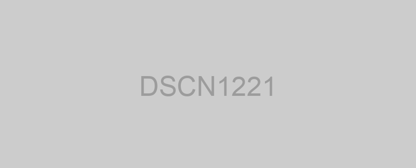 DSCN1221
