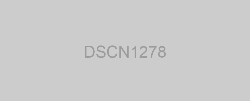 DSCN1278