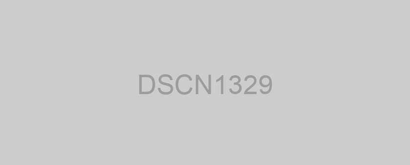 DSCN1329