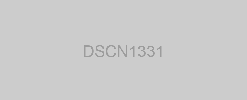 DSCN1331