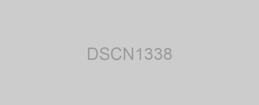 DSCN1338