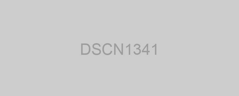 DSCN1341