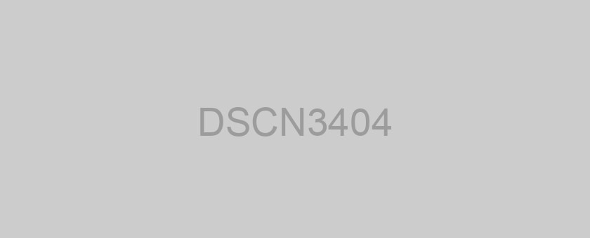 DSCN3404
